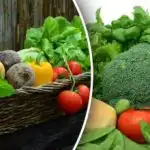 Ako neprísť o úrodu: záhradníci varovaní, čo nesadiť zo semien