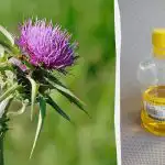 Jedna polievková lyžica tohto produktu pred raňajkami a vaša pečeň