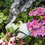 Ktoré rastliny sa musia v apríli prerezávať: záhradník vymenoval 5