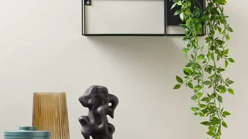 Ako pridať farb do bytu: výber správnych plnených rastlín