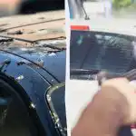 Vtáky už na autá nesadajú: tu je návod, čo musíte urobiť Vtáky už na autá nesadajú: tu je návod, čo musíte